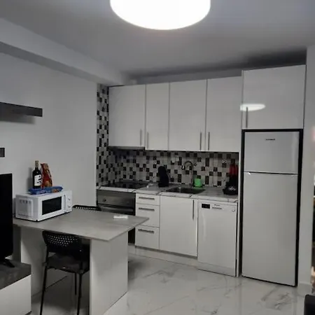 Vina Del Mar Sea View Playa Feñabe